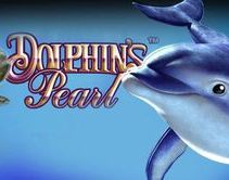 Dolphins Pearl