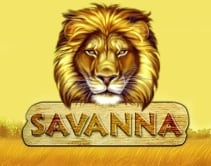 Savanna