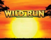 Wild Run